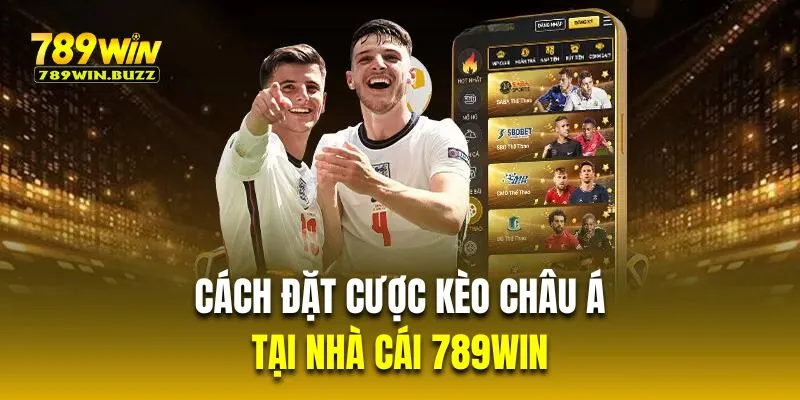 Cách đặt cược chấp tại nhà cái 