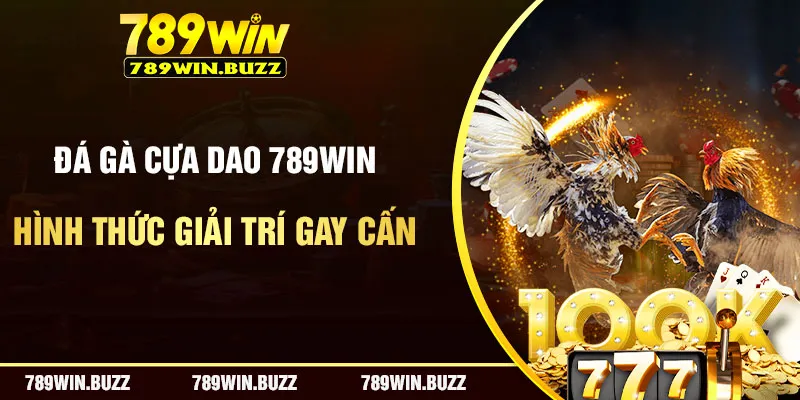 Đá Gà Cựa Dao | Hình Thức Giải Trí Gay Cấn Nhất 789Win