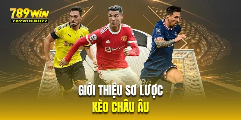 Giới thiệu sơ lược về kèo 1x2