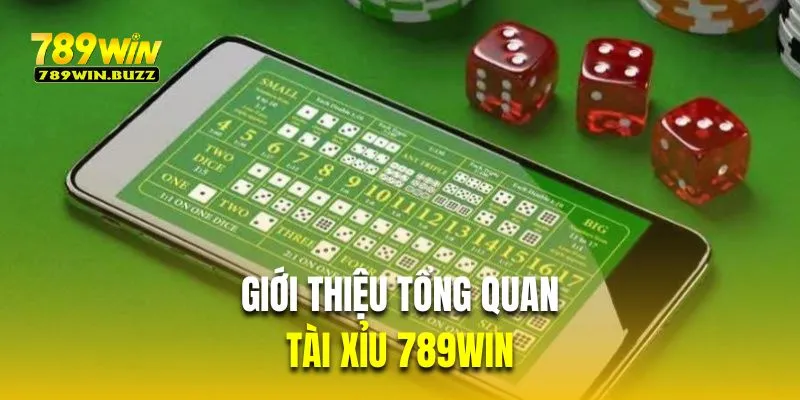 Giới thiệu tổng quan trò chơi tài xỉu tại 789Win